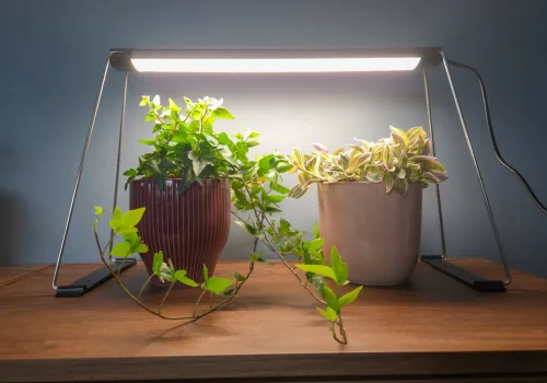 Växtbelysning
